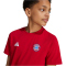 adidas FC Bayern München T-Shirt 2024/25 Kinder