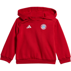 adidas FC Bayern München DNA Jogginganzug 2024/25 Kinder