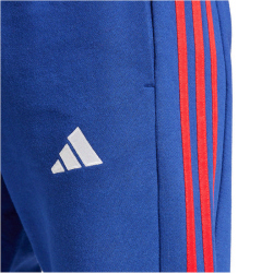 adidas FC Arsenal DNA Jogginghose 2024/25 Herren