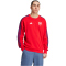 adidas FC Arsenal DNA Sweatshirt 2024/25 Herren