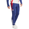 adidas Olympique Lyon Tiro 24 Trainingshose 2024/25 Herren