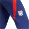 adidas Olympique Lyon Tiro 24 Trainingshose 2024/25 Herren