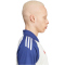 adidas Olympique Lyon Tiro 24 Poloshirt 2024/25 Herren