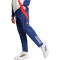 adidas Olympique Lyon Tiro 24 Präsentationshose 2024/25 Herren
