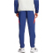 adidas Olympique Lyon Tiro 24 Präsentationshose 2024/25 Herren