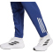 adidas Olympique Lyon Tiro 24 Präsentationshose 2024/25 Herren