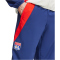 adidas Olympique Lyon Tiro 24 Präsentationshose 2024/25 Herren
