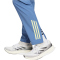 adidas Ajax Amsterdam Tiro 24 Competition Präsentationshose 2024/25 Herren