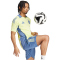 adidas Ajax Amsterdam Tiro 24 Competition Trainingstrikot 2024/25 Herren