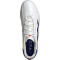 adidas Copa Pure 2 Elite AG Kunstrasen-Fußballschuhe Herren 01F7 - ftwwht/lucblu/solred 41 1/3