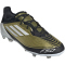 adidas F50 Pro Messi FG Firm-Ground Fu&szlig;ballschuhe Kinder 081A - goldmt/ftwwht/cblack 33