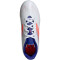 adidas F50 Club IN Hallen-Fußballschuhe Kinder 01F7 - ftwwht/solred/lucblu 30