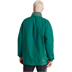 adidas FAF Algerien Allwetterjacke 2024/25 Herren AD8T - drkgrn S