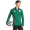 adidas FAF Algerien Tiro 24 Trainingsshirt 2024/25 Herren 095A - black/tmdrgr XS