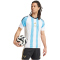 adidas Messi Trainingstrikot Herren 001A - white/seblbu S