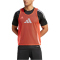adidas Training 24 Markierungshemdchen Herren JF3245 - bright red XS