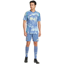 adidas Ajax Amsterdam Ausw&auml;rtsshorts 2024/25 Herren ADWD - creblu L