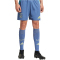 adidas Ajax Amsterdam Ausw&auml;rtsshorts 2024/25 Herren ADWD - creblu L