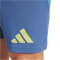 adidas Ajax Amsterdam Ausw&auml;rtsshorts 2024/25 Herren ADWD - creblu L