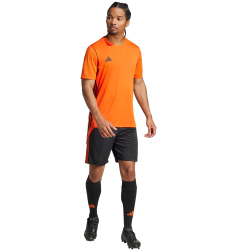 adidas Tiro24 Trainingsshorts Herren 095A - black/teaora XS