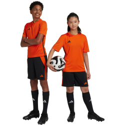 adidas Tiro 24 Trainingsshorts Kinder JJ1163 - black/team...