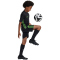 adidas Tiro 24 Trainingsshorts Kinder JJ1162 - black/semi lucid lime 140