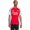 adidas FC Arsenal Heimtrikot 2024/25 Herren AETG - betsca/white S