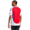 adidas FC Arsenal Heimtrikot 2024/25 Herren AETG - betsca/white S