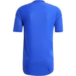 adidas Tiro24 Pro Fu&szlig;ball Trainingstrikot Herren AETB - lucblu/apsord XL
