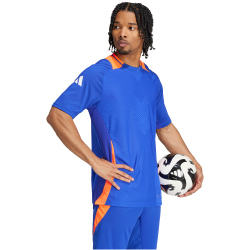 adidas Tiro24 Pro Fu&szlig;ball Trainingstrikot Herren AETB - lucblu/apsord XL