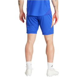 adidas Tiro24 Pro Trainingshorts Herren AETB - lucblu/apsord S