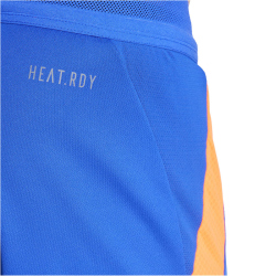 adidas Tiro24 Pro Trainingshorts Herren AETB - lucblu/apsord S