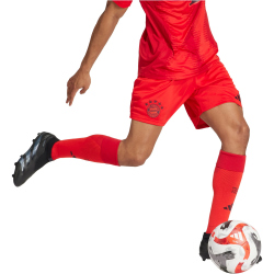 adidas FC Bayern M&uuml;nchen Heimshorts 2024/25 Herren 013A - red XS