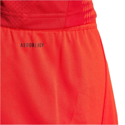 adidas FC Bayern M&uuml;nchen Heimshorts 2024/25 Herren 013A - red XS