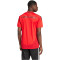 adidas FC Bayern München Heimtrikot 2024/25 Herren 013A - red XXL