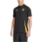 adidas JFF Jamaika Poloshirt 2024/25 Herren 095A - black/sesogo XS