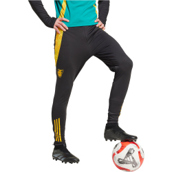 adidas JFF Jamaika Tiro 24 Trainingshose 2024/25 Herren 095A - black/sesogo XS