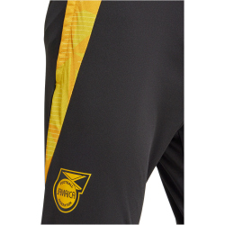 adidas JFF Jamaika Tiro 24 Trainingshose 2024/25 Herren 095A - black/sesogo XS