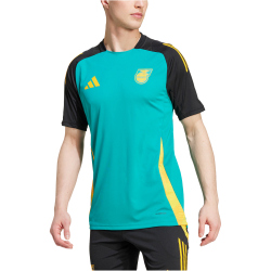 adidas JFF Jamaika Tiro 24 Trainingstrikot 2024/25 Herren A8KZ - eqtgrn/black M