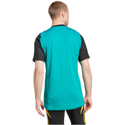 adidas JFF Jamaika Tiro 24 Trainingstrikot 2024/25 Herren A8KZ - eqtgrn/black M