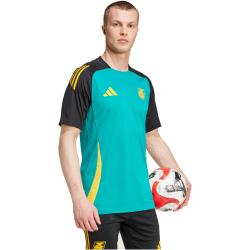 adidas JFF Jamaika Tiro 24 Trainingstrikot 2024/25 Herren A8KZ - eqtgrn/black M