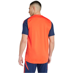 adidas Manchester United Tiro 24 Trainingstrikot 2024/25 Herren A0TB - brired/nindig XS