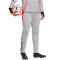 adidas Tiro 24 Competition Winterized Trainingshose Herren IY0125 - light onix/shock red XS
