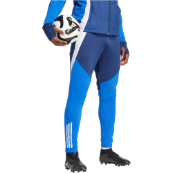adidas Tiro 24 Competition Winterized Trainingshose Herren AEQ1 - tenabl/royblu XS