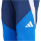 adidas Tiro 24 Competition Winterized Trainingshose Herren AEQ1 - tenabl/royblu XS