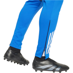 adidas Tiro 24 Competition Winterized Trainingshose Herren AEQ1 - tenabl/royblu S