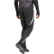 adidas Tiro 24 Competition Winterized Trainingshose Herren IM9972 - black/light onix S