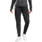 adidas Tiro 24 Competition Winterized Trainingshose Damen IM9969 - black/light onix XL