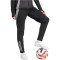 adidas Tiro 24 Competition Winterized Trainingshose Damen IM9969 - black/light onix XL