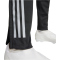 adidas Tiro 24 Competition Winterized Trainingshose Damen IM9969 - black/light onix XL